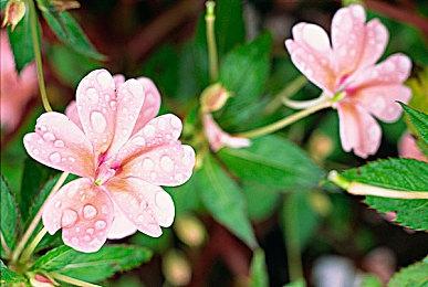 Switch 2设计泄露后 分析师称任天堂希望能尽快发布新主机