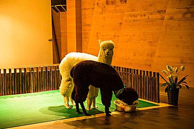 《绝地潜兵2》官方梗图暗示即将推出新的战略装备